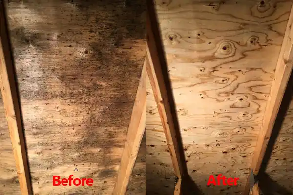 water damage restoration service Faribault